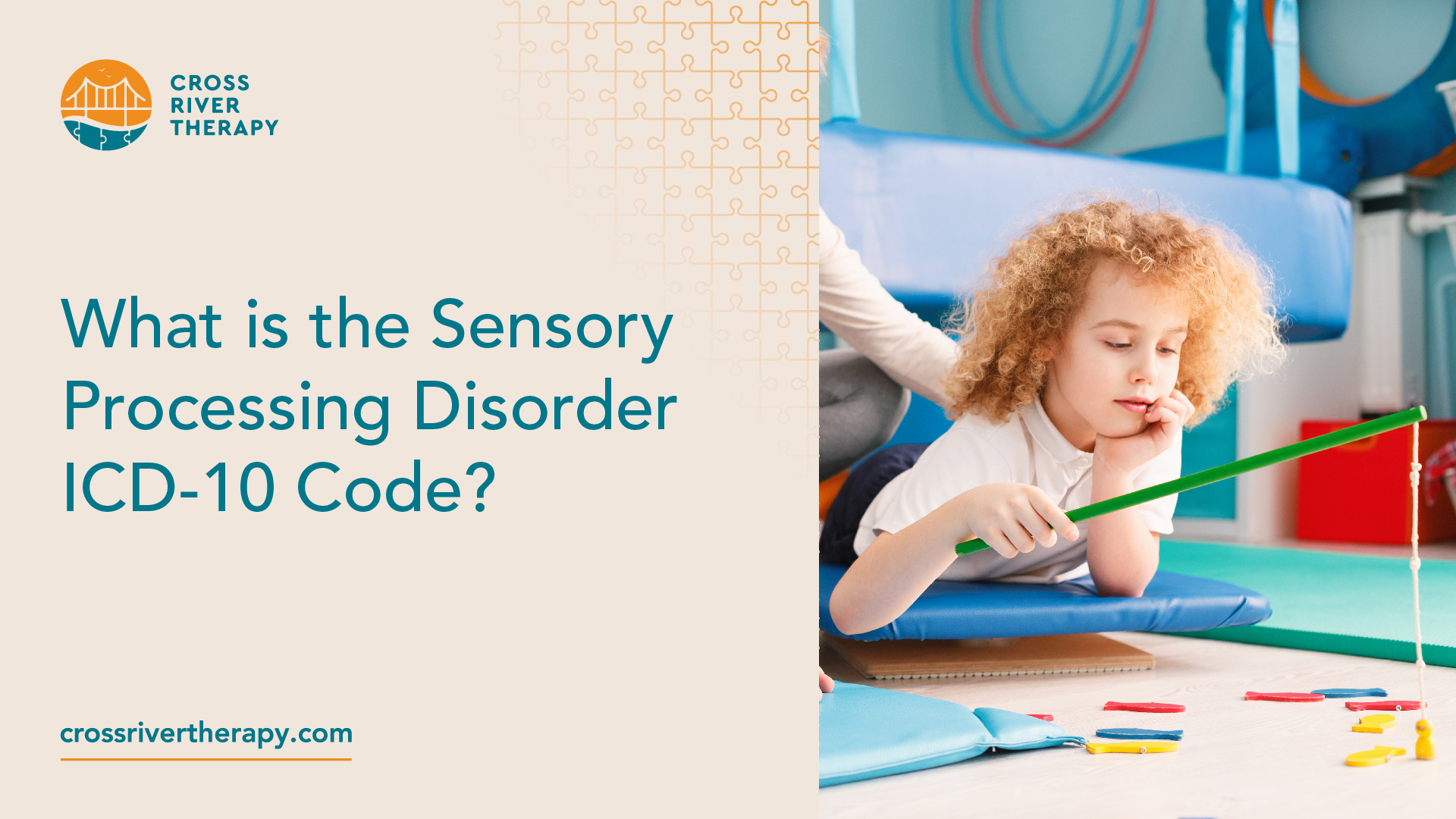What is the Sensory Processing Disorder ICD10 Code?